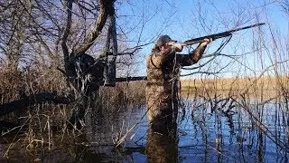 GreenHead Heaven!! Kansas Timber Duck Hunt