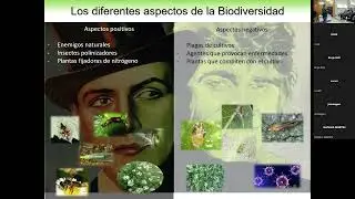Setos multifuncionales para la biodiversidad. Juan António Sánchez Sanchez