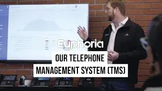Euphoria Telecom: Our Telephone Management System (TMS)
