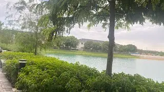 Hurricane Helene HistoricStorm Surge  || America Florida || @NoreenVideos