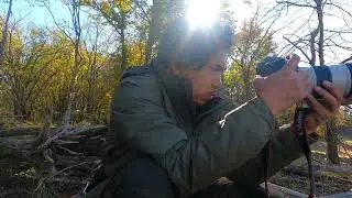 Demo Photo Hunting in Mark Twain Lake, Missouri