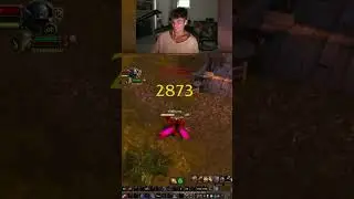 INSANE WARRIOR 1v3 @Sonii   |  Classic WoW PvP