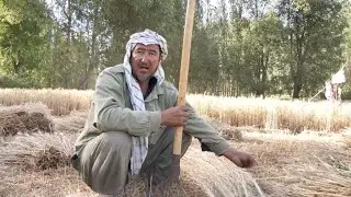 Semena, hnojivo a oprava karézu - naše pomoc v Afghánistánu