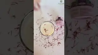 JIVIKAS Kashmir Kesar Saffron 100% super food
