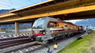 #406# TRENI MERCI - Ma che sorpresa la Vectron 🇩🇪&ldquo;Bundestag Berlin&rdquo; 🇩🇪 a Castione! #alptransit 