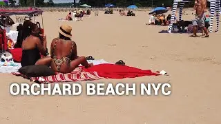 Dominican Republic Vibe @ Orchard Beach | Bronx New York 🇺🇸