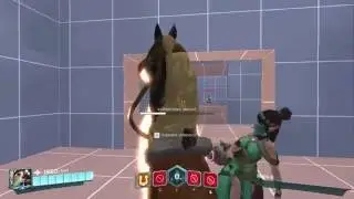 Paladins Glitch