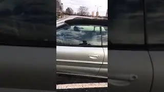 Spark plug breaks car window