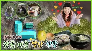 산골 마을 별난 식당 [6시N내고향] / KBS 방송