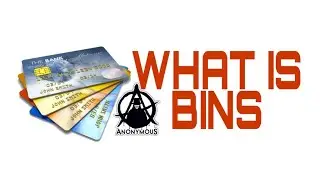 Bins Kya Hai (Bank Identification Number)