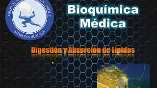 DIGESTION Y ABSORCION DE LIPIDOS PARTE 1 - ACTUALIZADO