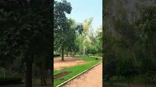 Park Stock Video | Sanjay Lake Video | Park Free Stock Video #park #lake #designershouse #nature