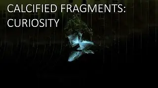 Calcified Fragments 1.0 - Curiosity