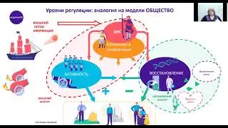 Наталья Крутикова, физиолог и кофаундер Engy Health, Контроль стресса с помощью ВСР HRV