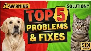 Top 5 Pet Health Problems & Quick Fixes