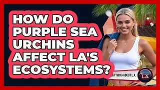 How Do Purple Sea Urchins Affect LA's Ecosystems?