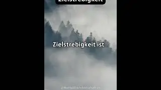 Zielstrebigkeit ist...