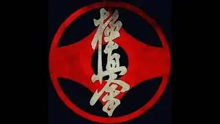 KYOKUSHIN INDULÓ