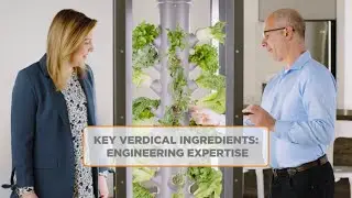 Key Verdical Ingredients: Engineering Expertise