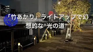 「竹あかり」ライトアップで幻想的な“光の道”