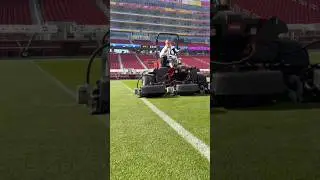 How to Keep Super Bowl Grass PERFECT