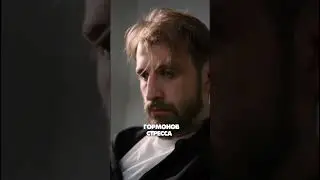 SOS-терапия при стрессе🔥Полное видео уже на канале