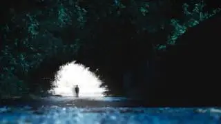 Speed Weed - Dumped