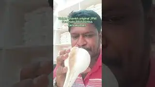 How to blow conch shell and make conch shell blowing hole tuning to blow shankh easily, shankhnaad