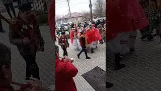 Căluțul