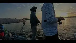 Bolgoda Lake 6KG Barra