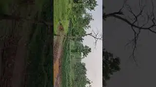 Beauty of Dediapada,Kunbar nursery