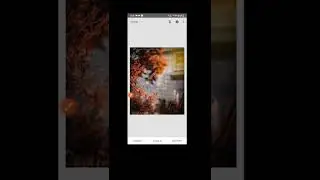 Picsart snapseed Lightroom autodesk sketchbook new photo editing tricks 20222