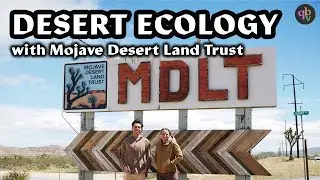 Desert Ecology: Joshua Trees Are Disappearing In California