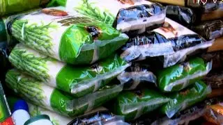 Trade minister Amelia Kyambadde issues directive capping retail price of sugar at Shs 5,000