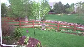 519-13 Denver Homes 005