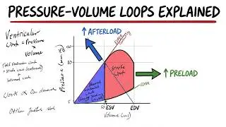 Left Ventricular Work & Myocardial Oxygen Demand | Pressure-Volume Loops Explained