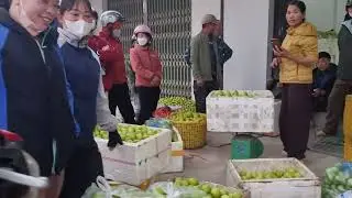 Cập nhật giá táo hôm nay 17/1/2026 ngày 29/11/Âm lịch tại phong vân Lục Ngạn Bắc Giang cũ 