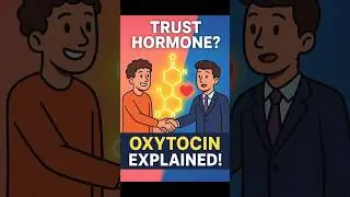 Trust Hormone : The Brain Chemical That MAKES You Trust&nbsp;People #didyouknow #facts #shorts