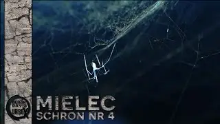 Mielec - Schron Nr 4 (odc.2)