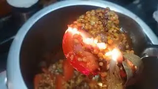 Bihari mixup bhuni dal part 1 #housewife's own style 