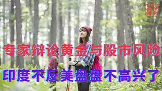 专家辩论黄金与股市风险||印度不反美盘盘不高兴了