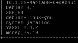 How to Check MySQL Version in Debian