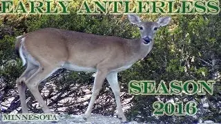2016 MN EARLY Antlerless Season