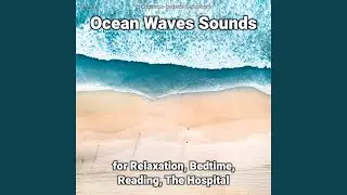 Ocean Waves for Dogs