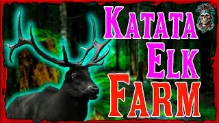 Easy Katata Elk Farm &ndash; Legendary Animal Glitch for Trader XP & Money (RDO 2025)