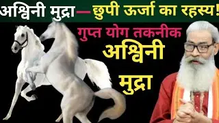 अश्विनी मुद्रा से पाएं हॉर्स पावर, ताकत का खजाना  Get horsepower with Ashwini mudra, tr