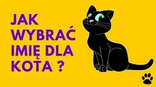Jak wybrać imię dla kota - 31 propozycji | Imionowo