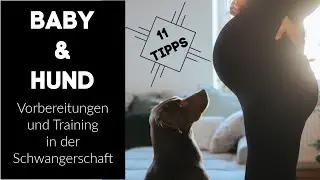 Baby&Hund ... 11 Tipps, um den Hund in der Schwangerschaft auf das Baby vorzubereiten