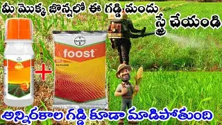 Pesticides in Agriculture Telugu || Best Herbicide in Maize