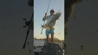 Found Em!  #bassfishing #flipping #sportfishing #viralshorts